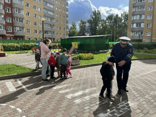 Маленькие пешеходы – большие правила