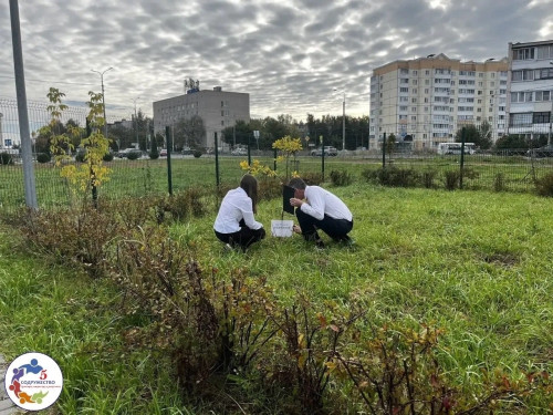 Новая традиция