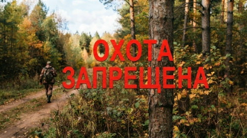 Любителям охоты из Боровского округа придется на две недели забыть о своем увлечении