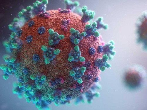 Новый штамм коронавируса «Стелс-омикрон» может обрушиться на Калужскую область уже в конце апреля
