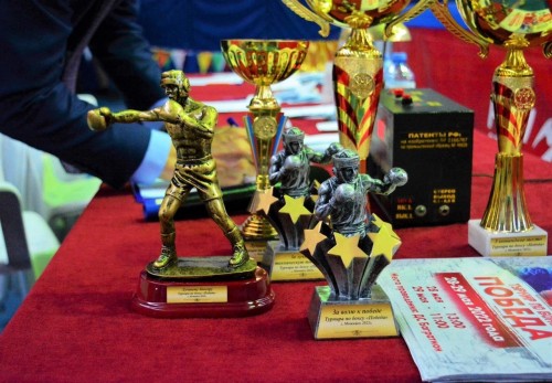 Боровские спортсмены приняли участие на соревнованиях по боксу «Победа»