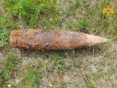 В Боровском районе обезвредили один артиллерийский снаряд (76 мм)