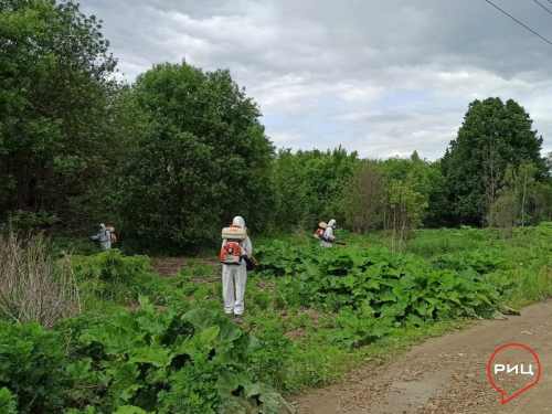 «Люди в белом» продолжают спасать Боровск