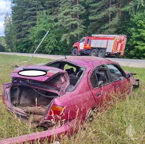 В дежурной части районного отдела полиции за минувшую неделю зарегистрировано 463 сообщения о происшествиях и правонарушениях