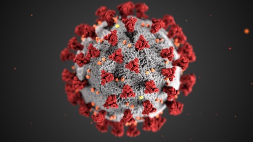 Заболеваемость коронавирусом в России за неделю резко возросла