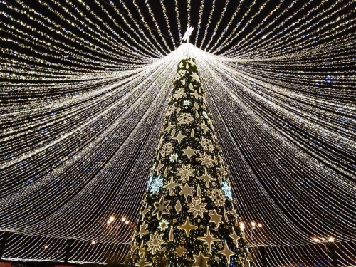 В Текиже поставят новогоднюю елку