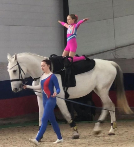 Юные спортсмены кабицынского «Аппалуза Пони клуб» завоевали награды чемпионата Москвы по конному спорту