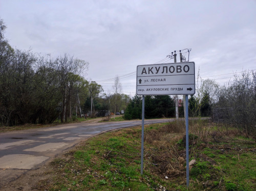 В деревне Акулово бобры испытывают на прочность гарантийную дорогу