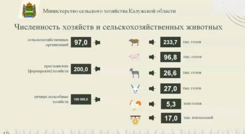 Сельскохозяйственное производство в Калужской области выросло на 5,2% с начала текущего года